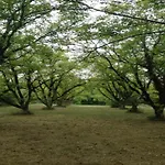 別荘 Cahors Countryside Retreat