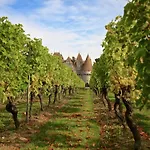 Cahors Countryside Retreat 別荘