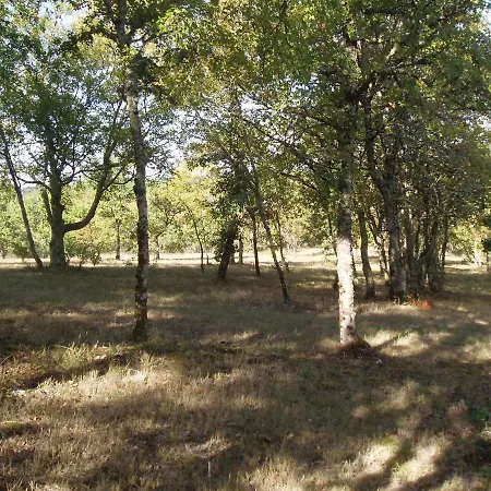 Historic With Garden * Fargues (Lot)