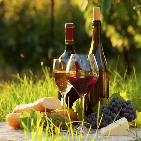 Cahors Countryside Retreat *