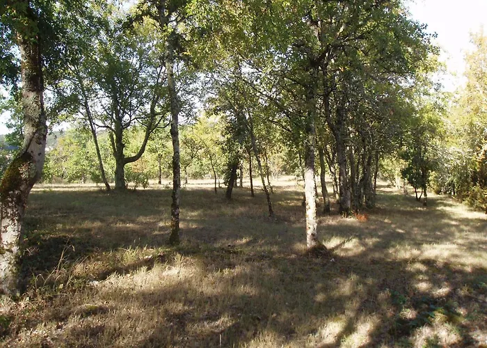 Σπίτι διακοπών Cahors Countryside Retreat Fargues (Lot)