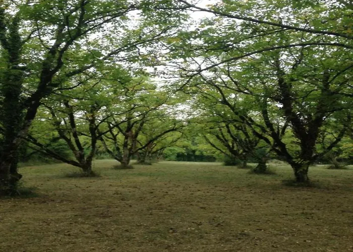 Hébergement de vacances Cahors Countryside Retreat
